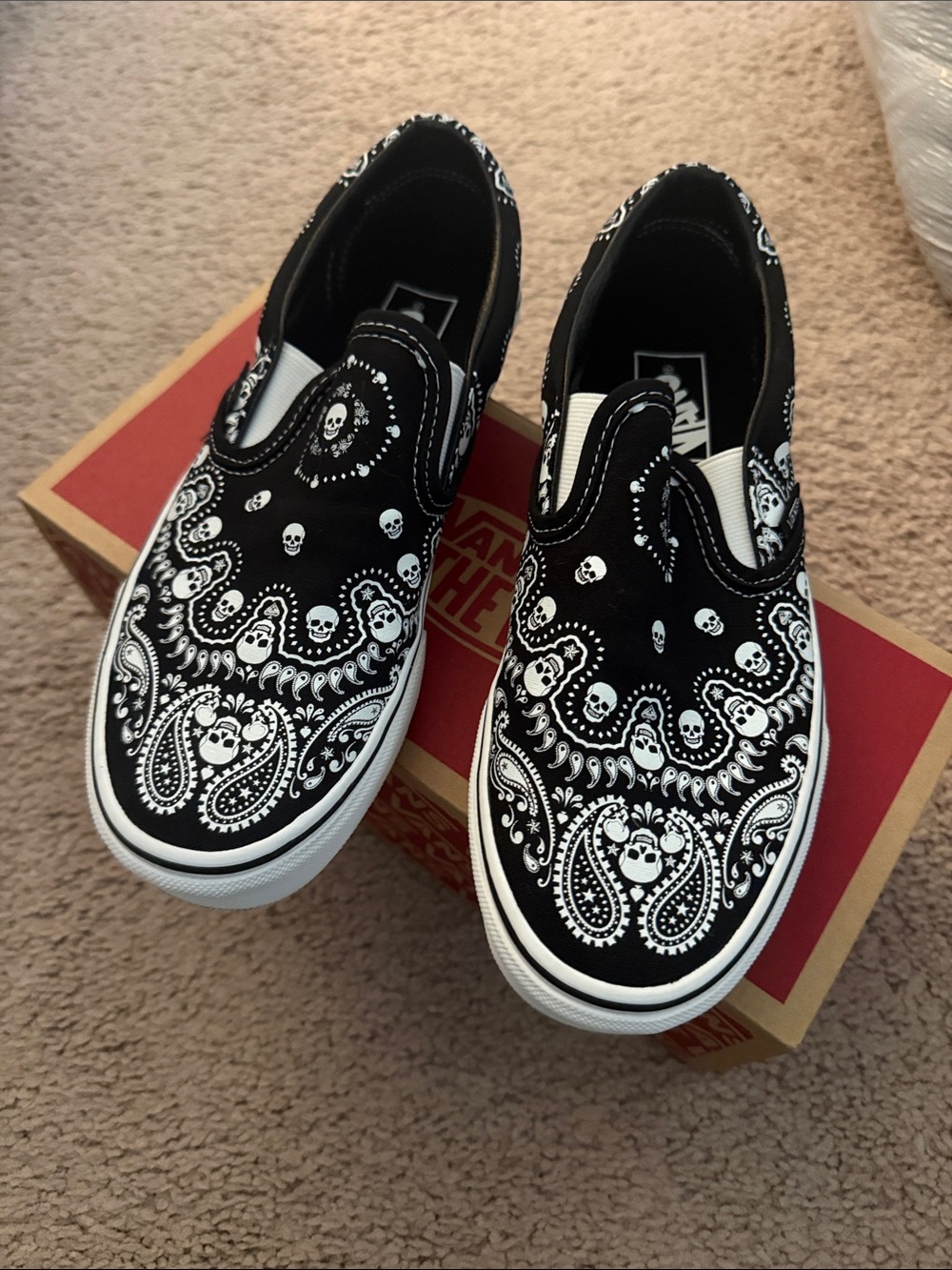 Vans Black & White Paisley Skull Slip-On Sneakers